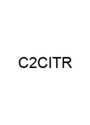 Chapter 24 Catcher In The Rye