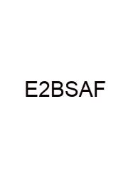 Exercise 20 Brain Structure And Function