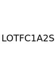 Lord Of The Flies Chapter 1 And 2 Summary