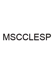 Middle School Compare Contrast Literary Essay Sample Pdf