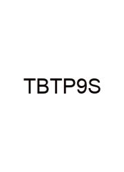 The Book Thief Part 9 Summary